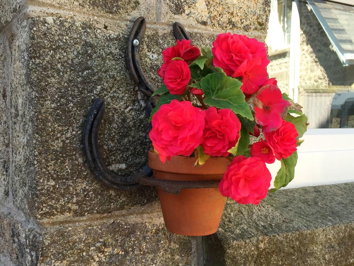 Postbridge Dartfordleigh B&B מראה חיצוני תמונה
